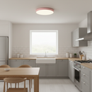 Minimalist Colorful Energy Efficient Flush Mount LED Ceiling Light