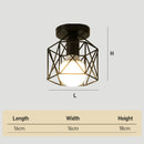 Metal Cage Ceiling Lampshade Black Ceiling Lights for Hallway