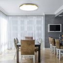 Modern Minimalism Energy-Saving Led Ceiling Lights for Living Room Bedroom