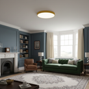 Minimalist Colorful Energy Efficient Flush Mount LED Ceiling Light