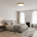 Minimalist Colorful Energy Efficient Flush Mount LED Ceiling Light