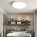 Round LED Flush Mount Ceiling Light