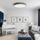 Modern LED Flush Mount Ceiling Light