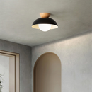 Modern Nordic Minimalist Eco-friendly Ceiling Light