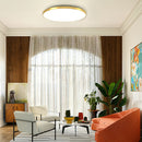 Living Room Minimalism Ceiling Light