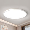 Living Room Minimalism Ceiling Light