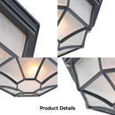 IP65 Outdoor Rustic Ceiling Light Suitable for both wall and ceiling mounting