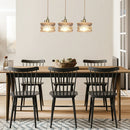 Modern Glass Shade Pendant Light
