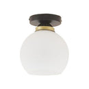 Modern Black Flush Globe Ceiling Light