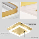 Contemporary simplicity Hallway LED Ceiling Lights in Cold White