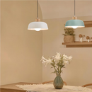 Nordic Creative Wooden Pendant Lamp