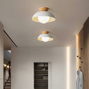 Modern Nordic Minimalist Eco-friendly Ceiling Light
