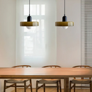 Minimalism Art Decor Garden Conservatory Pendant Light with Bulbs