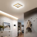 Contemporary simplicity Hallway LED Ceiling Lights in Cold White