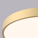 Energy Efficient LED Flush Ceiling Lights for Bedroom and Living Room