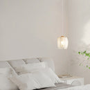 French Feather Glass Pendant Lights