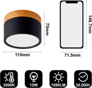 Cylinder Small Flush Ceiling Lights