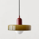 Minimalism Art Decor Garden Conservatory Pendant Light with Bulbs