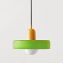Minimalism Art Decor Garden Conservatory Pendant Light with Bulbs
