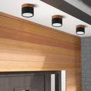 Set of 2 Small Flush Ceiling Lighting Macaron Finish Ceiling Lamp for hallway