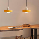 Minimalism Art Decor Garden Conservatory Pendant Light with Bulbs