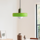 Minimalism Art Decor Garden Conservatory Pendant Light with Bulbs