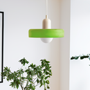 Minimalism Art Decor Garden Conservatory Pendant Light with Bulbs