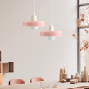 Minimalism Art Decor Garden Conservatory Pendant Light with Bulbs