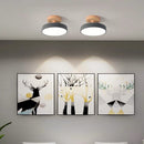 Colorful Semi-flush LED Ceiling Lights