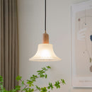Retro Creative Glass Shade Pendant Light For Bedroom
