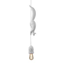 Simple Squirrel Resin Pendant Light