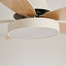 Acrylic Minimalism LED Bedroom Ceiling Fan With Light