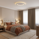 Nordic Style Disc LED Ceiling Lighting