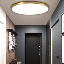 Living Room Minimalism Ceiling Light