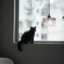 Modern Glass Shade Pendant Light