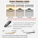 Nordic Minimalist Metal LED Ceiling Light For Livingroom