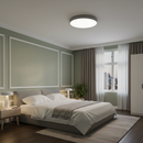 Minimalist Colorful Energy Efficient Flush Mount LED Ceiling Light