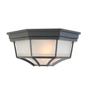 IP65 Outdoor Rustic Ceiling Light Suitable for both wall and ceiling mounting