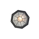 IP65 Outdoor Rustic Ceiling Light Suitable for both wall and ceiling mounting