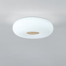 Wabi-Sabi Acrylic LED Bed Room Ceiling Lights