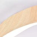 Simple Iron Flush Mount LED Ceiling Lights