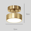 Modern Led Adjustable Ceiling Lights