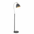 Canada Floor Lamp - Black/Pewter