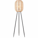 Zaire Floor Light