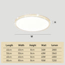 Minimalist Acrylic LED Ceiling Lights for Bedroom Living Room