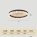 Modern Minimalist Flush LED ceiling lights for Living Room Bedroom