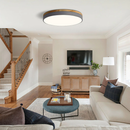 Living room modern led ceiling lights
