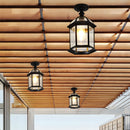 IP65 Vintage Outdoor Ceiling Lights in Black