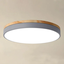 Living room modern led ceiling lights
