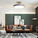 Morden Round Acrylic LED Colorful Ceiling Light